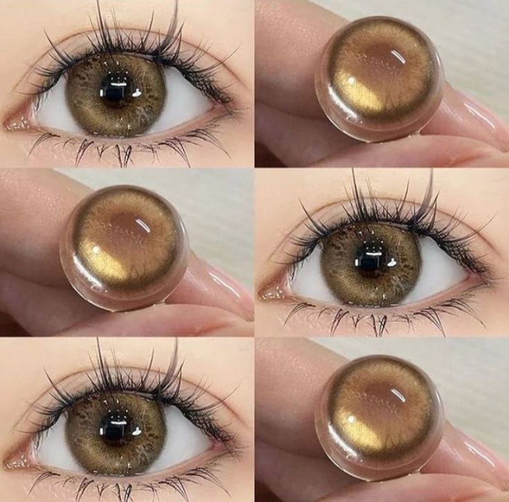 Honey Brown - Korean Lenses in Pakistan LS-022