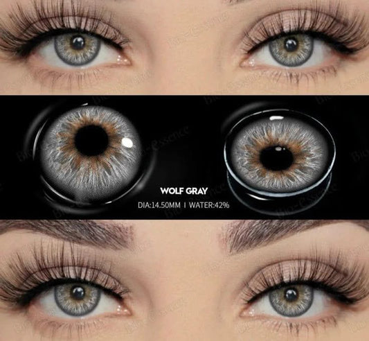 Wolf Grey - Korean Lenses in Pakistan LS-024